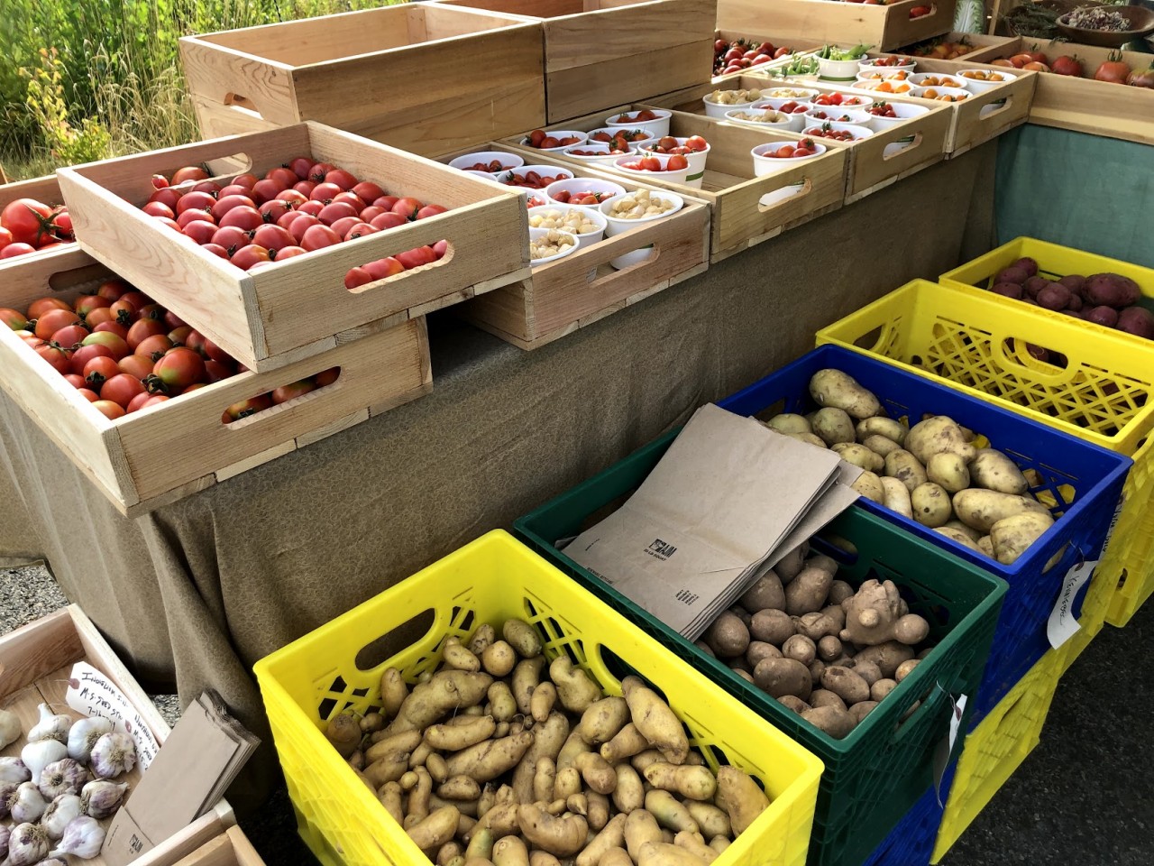 Farmers Market Manager Position Opening for 2021